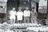 The Khmer Rouge, or Communist Party of Kampuchea, ruled  Cambodia from 1975 to 1979, led by Pol Pot, Nuon Chea, Ieng Sary, Son Sen and Khieu Samphan. It is remembered primarily for its brutality and policy of social engineering which resulted in millions of deaths. Its attempts at agricultural reform led to widespread famine, while its insistence on absolute self-sufficiency, even in the supply of medicine, led to the deaths of thousands from treatable diseases (such as malaria). Brutal and arbitrary executions and torture carried out by its cadres against perceived subversive elements, or during purges of its own ranks between 1976 and 1978, are considered to have constituted a genocide. Several former Khmer Rouge cadres are currently on trial for war crimes in Phnom Penh.
